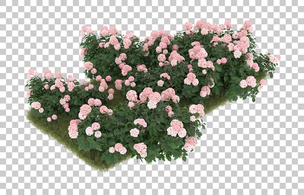 Campo de grama com flores em fundo transparente. renderização em 3d - ilustração