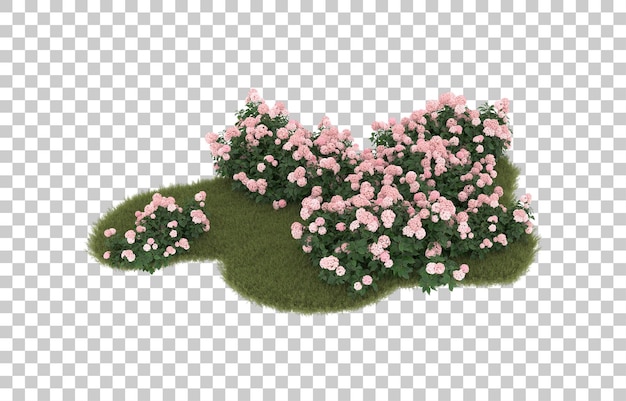 Campo de grama com flores em fundo transparente. renderização em 3d - ilustração