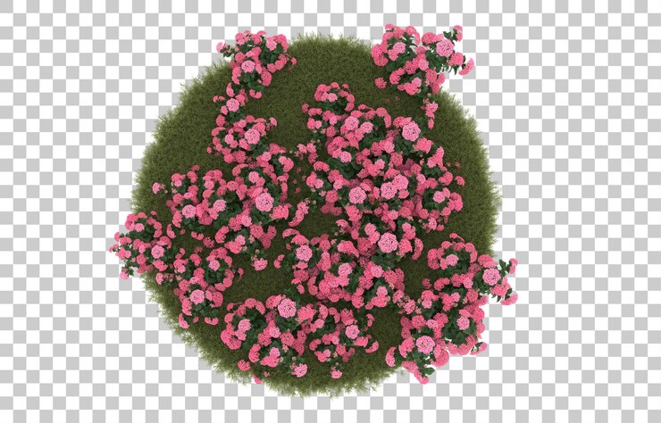 PSD campo de grama com flores em fundo transparente. renderização em 3d - ilustração