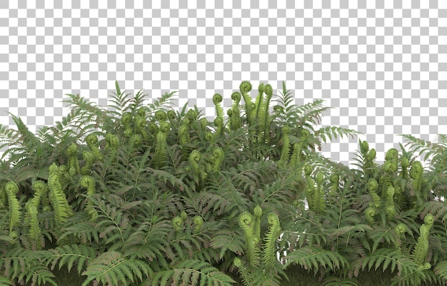 PSD campo de grama com flores em fundo transparente. renderização em 3d - ilustração