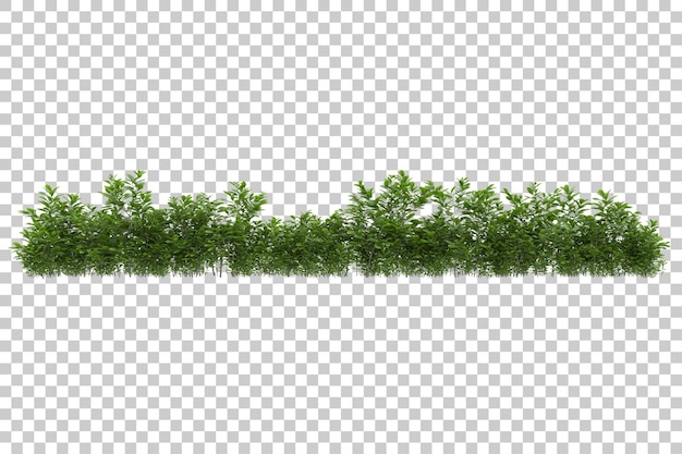 PSD campo de grama com ilustração de renderização 3d de fundo transparente