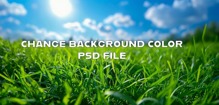 PSD campo de grama exuberante com um céu azul ensolarado e luz solar