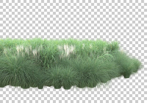 Campo de grama na ilustração de renderização 3d de fundo transparente