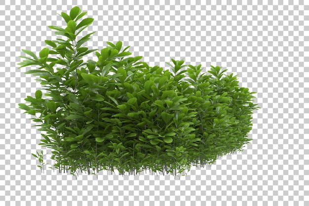 campo de grama para composição isolada no fundo com ilustração de renderização 3d de máscara