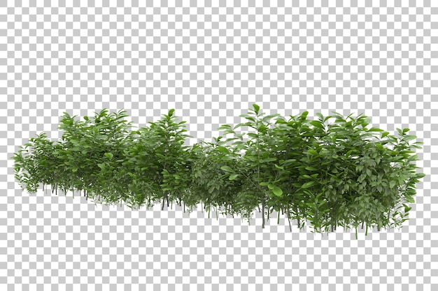campo de grama para composição isolada no fundo com ilustração de renderização 3d de máscara