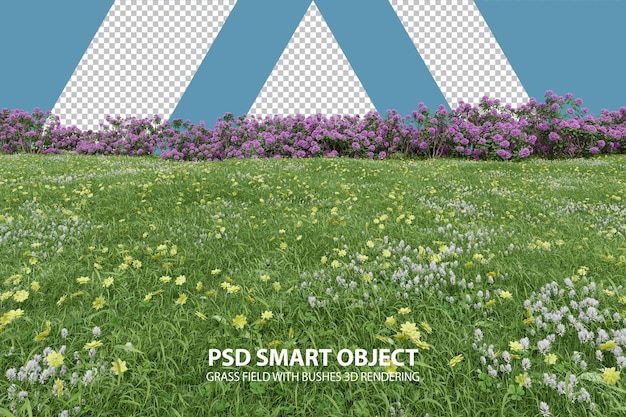 Campo de grama realista com renderização 3d de arbustos de objetos isolados