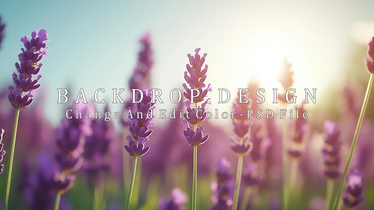 PSD campo de lavanda roxa ao pôr-do-sol