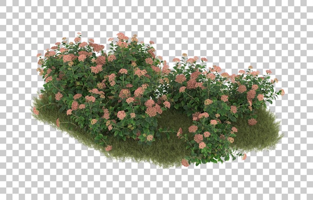 Campo di erba con fiori su sfondo trasparente. rendering 3D - illustrazione