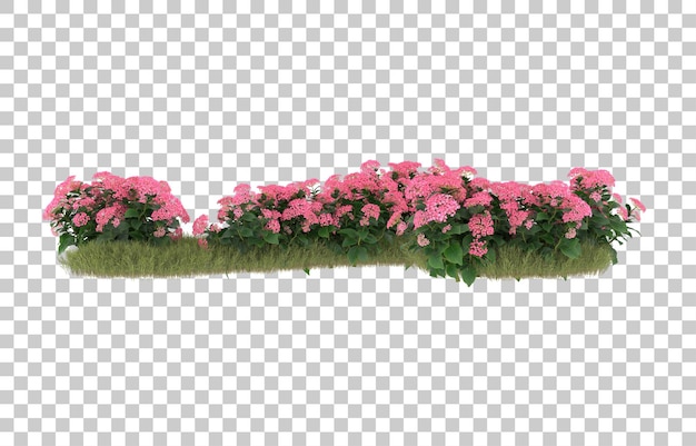 Campo di erba con fiori su sfondo trasparente. rendering 3D - illustrazione