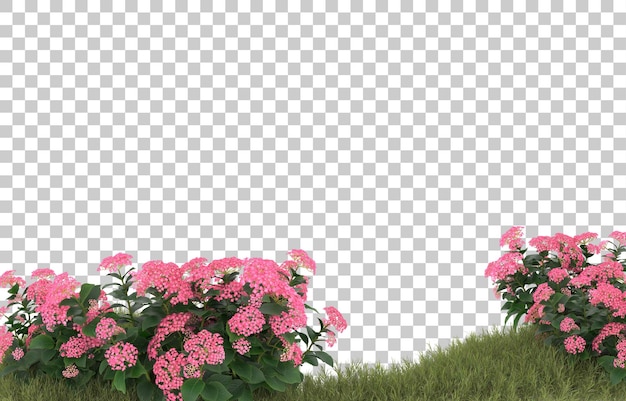 Campo di erba con fiori su sfondo trasparente. rendering 3D - illustrazione