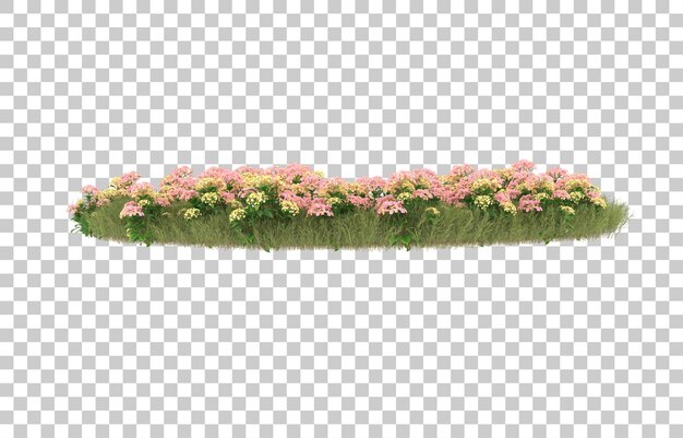 Campo di erba con fiori su sfondo trasparente. rendering 3D - illustrazione