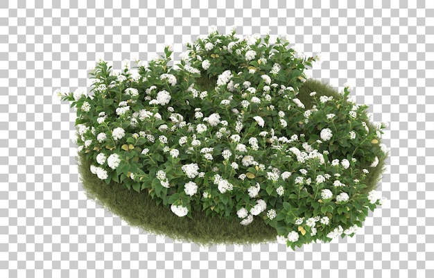 Campo di erba con fiori su sfondo trasparente. rendering 3D - illustrazione