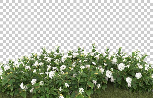 Campo di erba con fiori su sfondo trasparente. rendering 3D - illustrazione