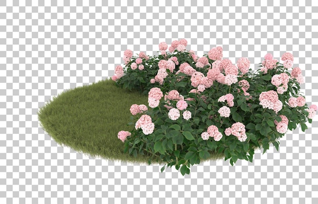 Campo di erba con fiori su sfondo trasparente. rendering 3D - illustrazione