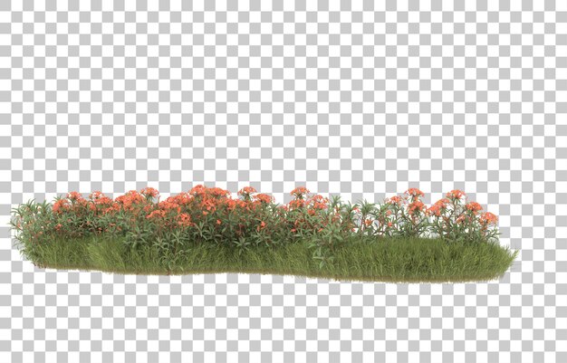 Campo di erba con fiori su sfondo trasparente. rendering 3D - illustrazione