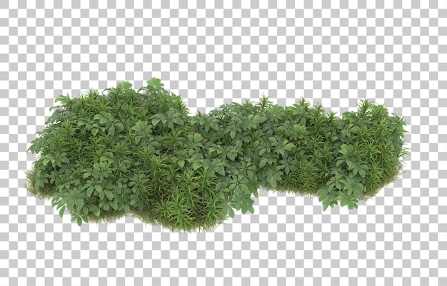 Campo di erba con fiori su sfondo trasparente. rendering 3D - illustrazione