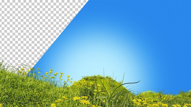Campo di erba verde con fiori Paesaggio con collina Prato con denti di leone rendering 3d prato verde