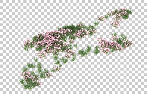 Campo di fiori su sfondo trasparente. rendering 3D - illustrazione