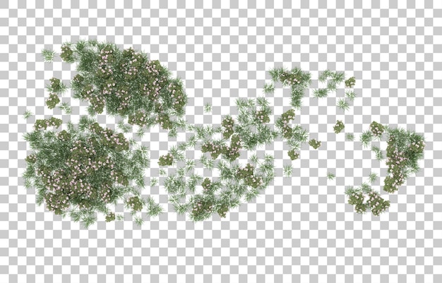 Campo di fiori su sfondo trasparente. rendering 3D - illustrazione
