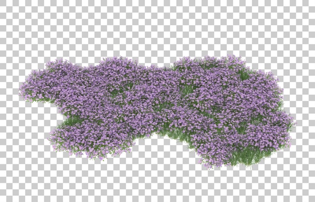 Campo di fiori su sfondo trasparente. rendering 3D - illustrazione