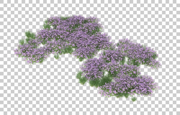Campo di fiori su sfondo trasparente. rendering 3D - illustrazione