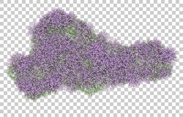Campo di fiori su sfondo trasparente. rendering 3D - illustrazione
