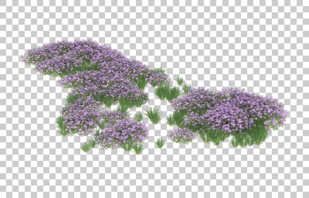 Campo di fiori su sfondo trasparente. rendering 3D - illustrazione