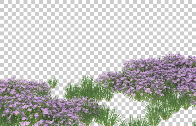 Campo di fiori su sfondo trasparente. rendering 3D - illustrazione