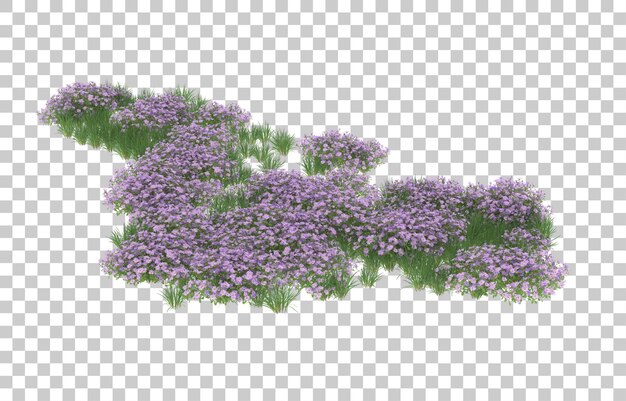 Campo di fiori su sfondo trasparente. rendering 3D - illustrazione