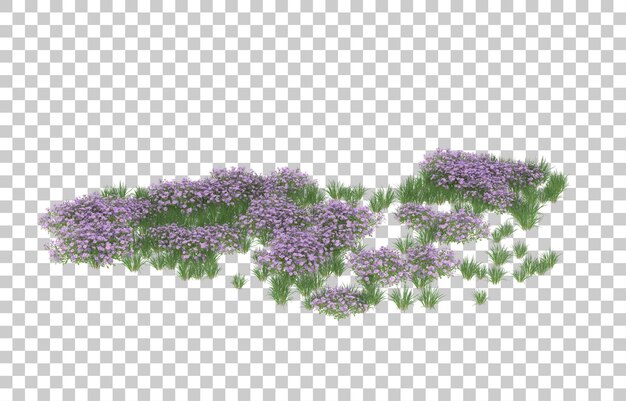 Campo di fiori su sfondo trasparente. rendering 3D - illustrazione