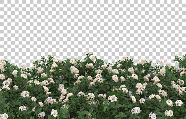 Campo di fiori su sfondo trasparente. rendering 3D - illustrazione