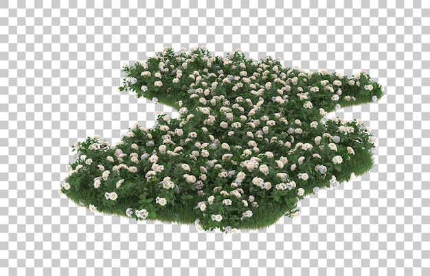 Campo di fiori su sfondo trasparente. rendering 3D - illustrazione
