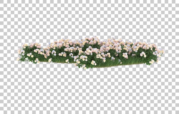 Campo di fiori su sfondo trasparente. rendering 3D - illustrazione