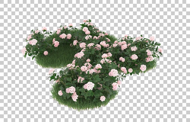 Campo di fiori su sfondo trasparente. rendering 3D - illustrazione