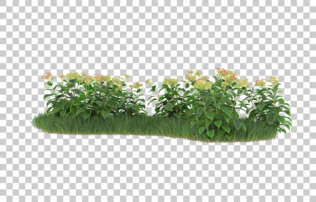 Campo di fiori su sfondo trasparente. rendering 3D - illustrazione