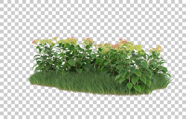 Campo di fiori su sfondo trasparente. rendering 3D - illustrazione
