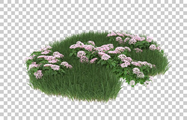 Campo di fiori su sfondo trasparente. rendering 3D - illustrazione
