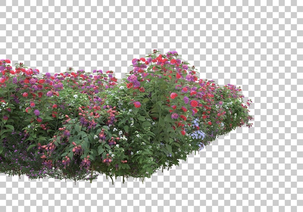 Campo de flores en la ilustración de representación 3d de fondo transparente