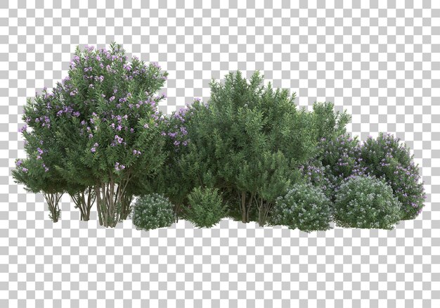 Campo de flores en la ilustración de representación 3d de fondo transparente