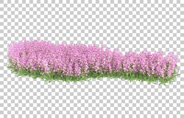 Campo de flores sobre fondo transparente. representación 3d - ilustración