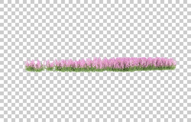 Campo de flores sobre fondo transparente. Representación 3d - ilustración