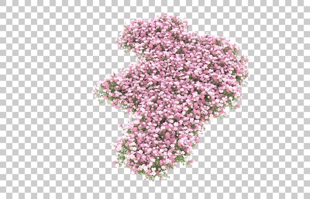 Campo de flores sobre fondo transparente. Representación 3d - ilustración