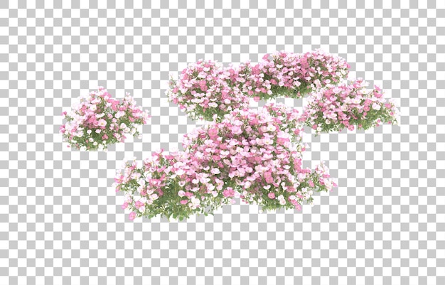 Campo de flores sobre fondo transparente. Representación 3d - ilustración