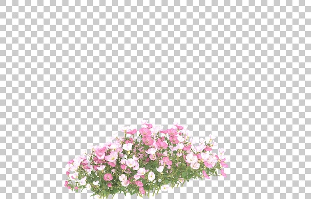 Campo de flores sobre fondo transparente. Representación 3d - ilustración