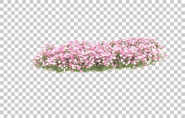 Campo de flores sobre fondo transparente. Representación 3d - ilustración
