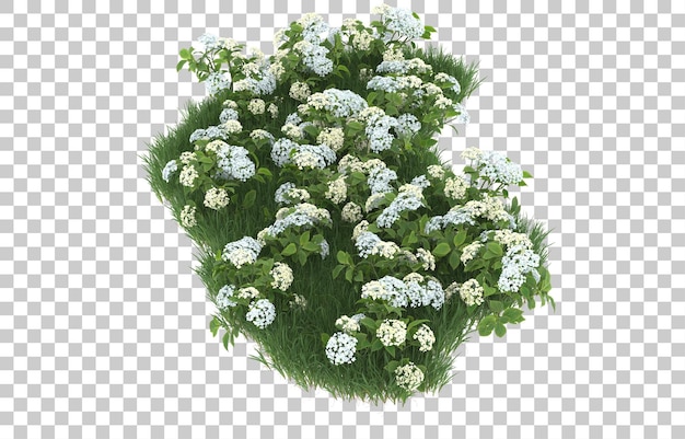 Campo de flores sobre fondo transparente. Representación 3d - ilustración
