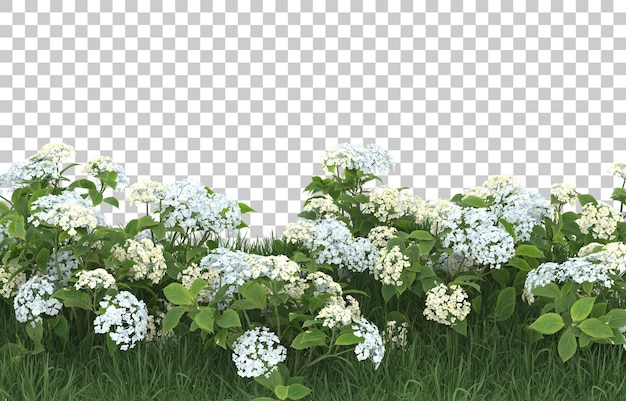 Campo de flores sobre fondo transparente. Representación 3d - ilustración