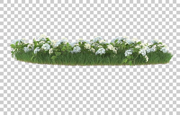 Campo de flores sobre fondo transparente. Representación 3d - ilustración