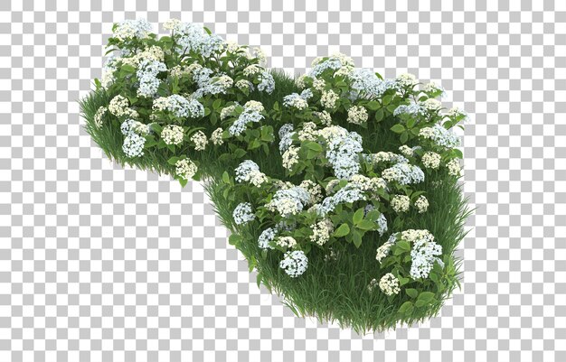 Campo de flores sobre fondo transparente. Representación 3d - ilustración