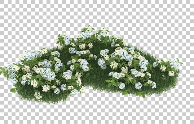 Campo de flores sobre fondo transparente. Representación 3d - ilustración